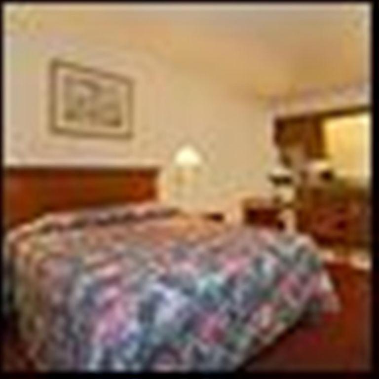 Econo Lodge San Marcos University Area Extérieur photo